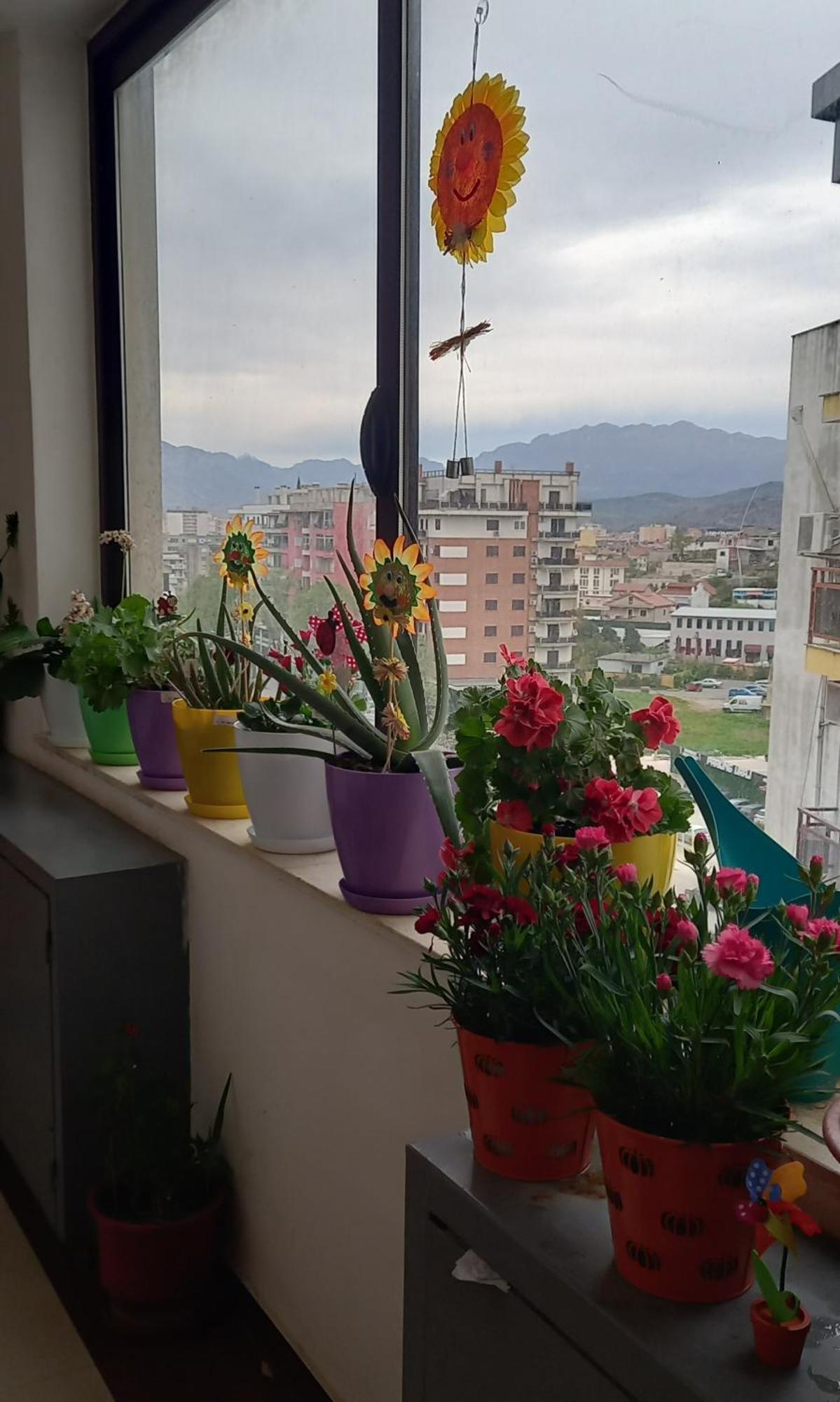 Panoramic Apartment Shkodër Eksteriør bilde